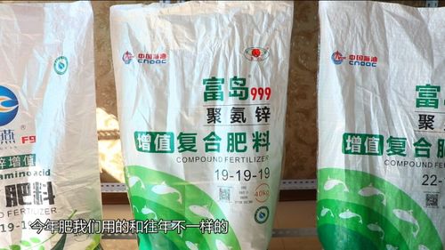 拔出來(lái)的增值豐收 從一片沃土看中國(guó)化學(xué)的創(chuàng)新力量
