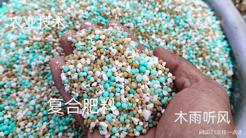 種豆角用什么化學肥料好 科學施肥指南