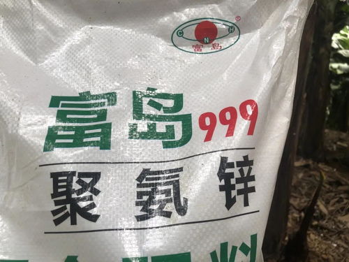 蕉二代增值賬 富島翔燕與百萬元背后的化學力量