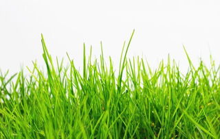 化肥檢測(cè)入門指南 化學(xué)肥料知識(shí)全解析