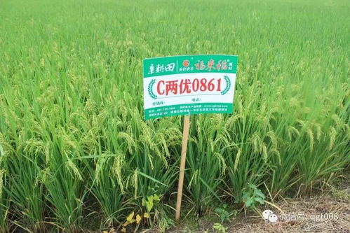 國(guó)內(nèi)外耕地培肥的技術(shù)對(duì)比